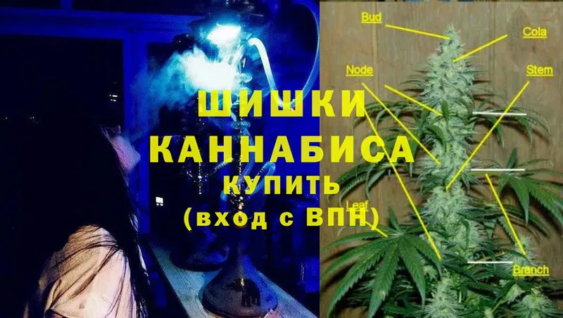 Шишки марихуана THC 21%  Белоозёрский 